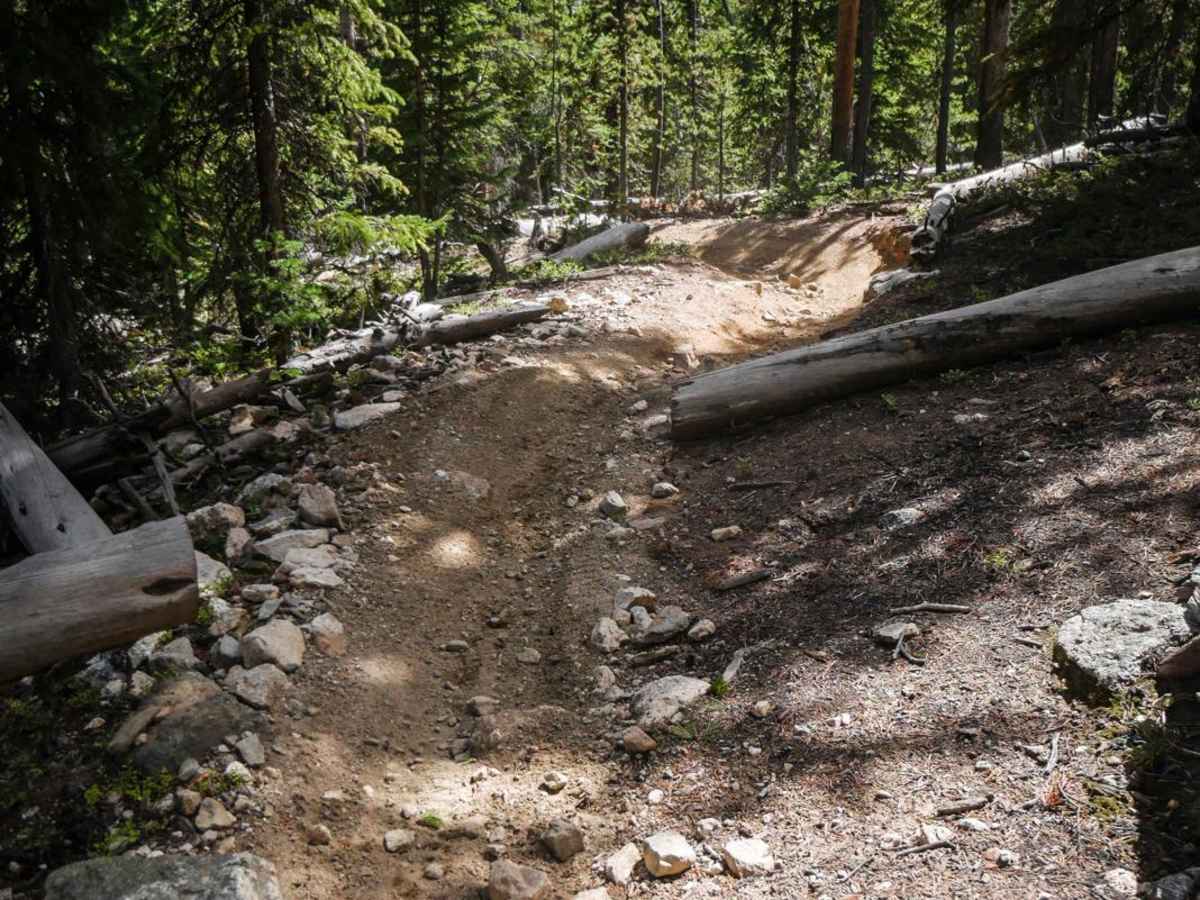 Doctor Park Trail photo 4