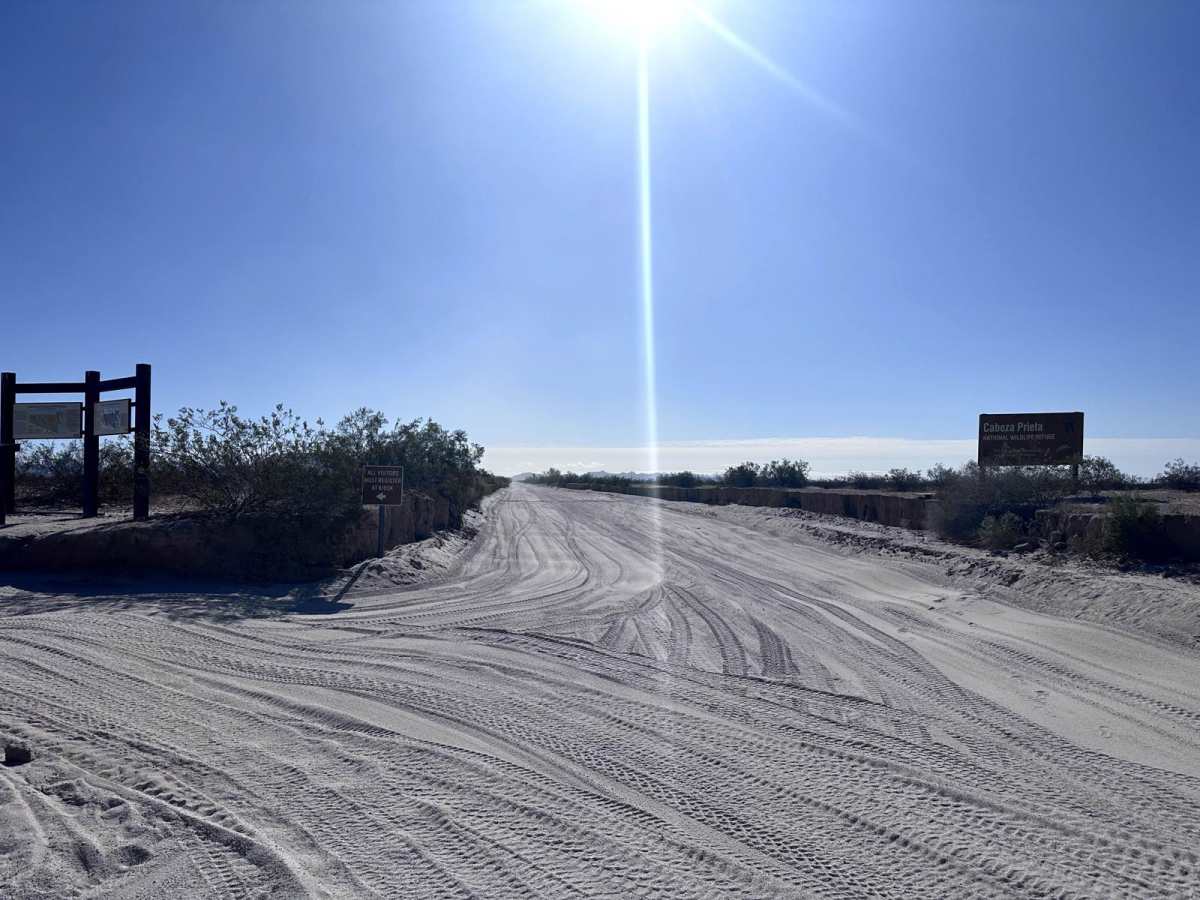 El Camino Del Diablo (Welton Block) photo 3