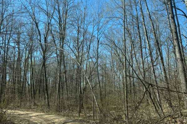 Forest Road 2267