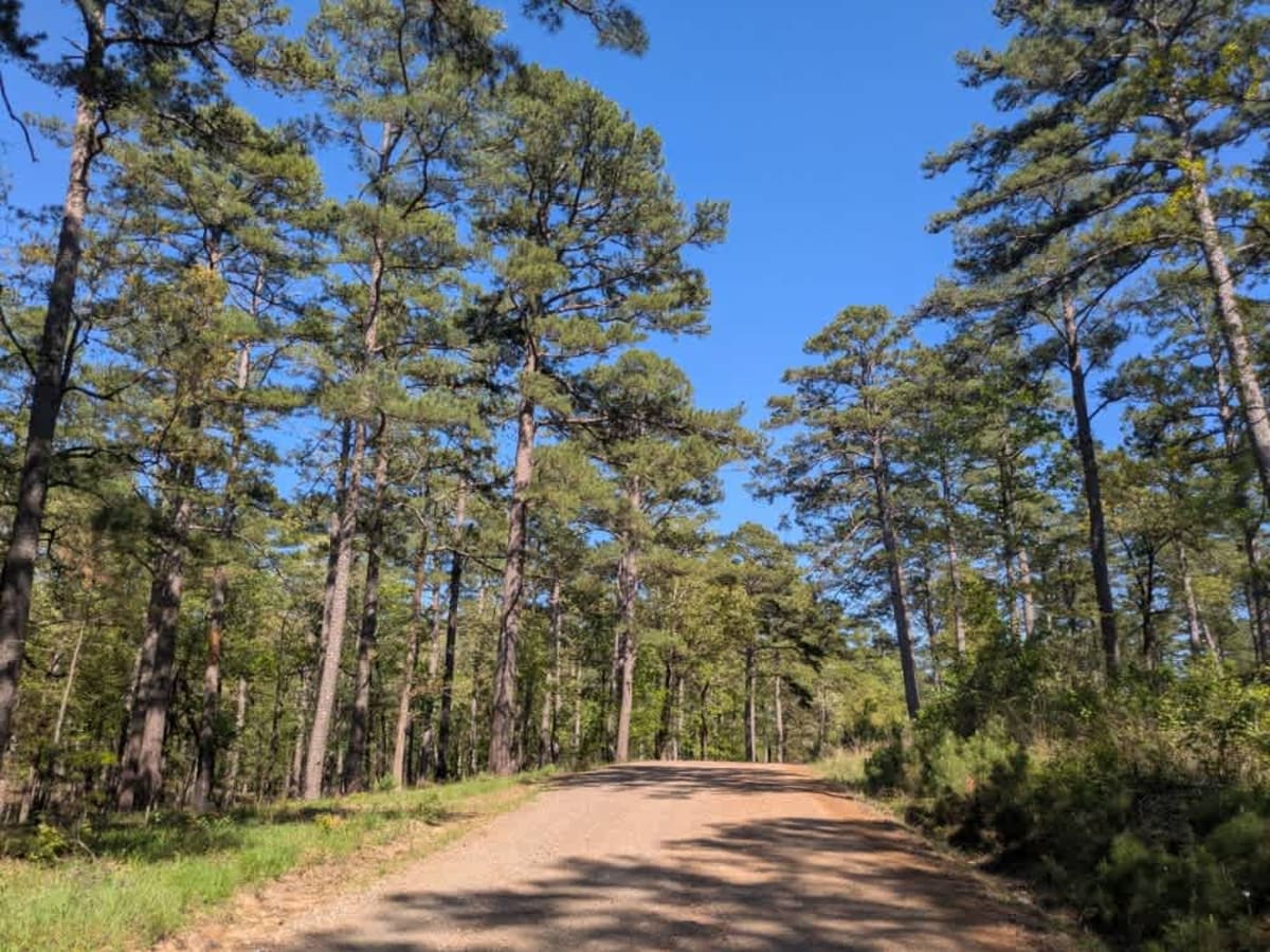 Johnson Creek Road photo 3