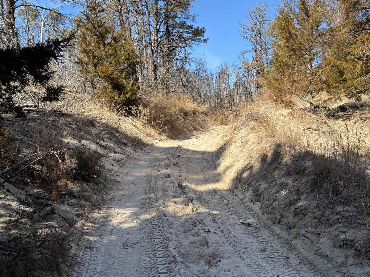 Forest Road 223 - Scenic photo 5