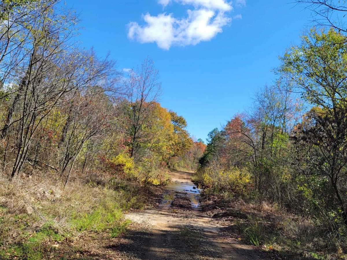 Poteau Mountain And Rail Tracks photo 4