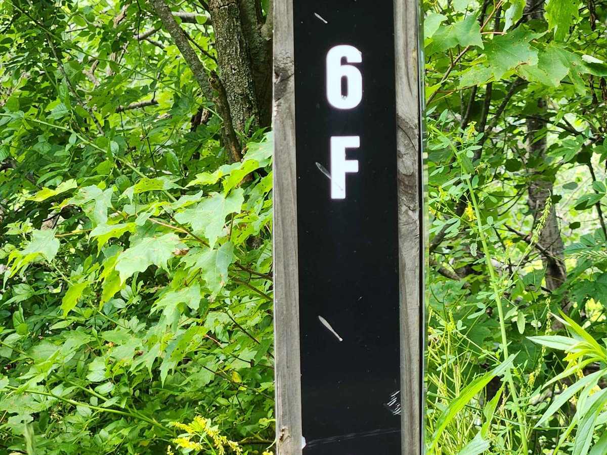 Trail 6F - Rock Run Recreation Area trail photo