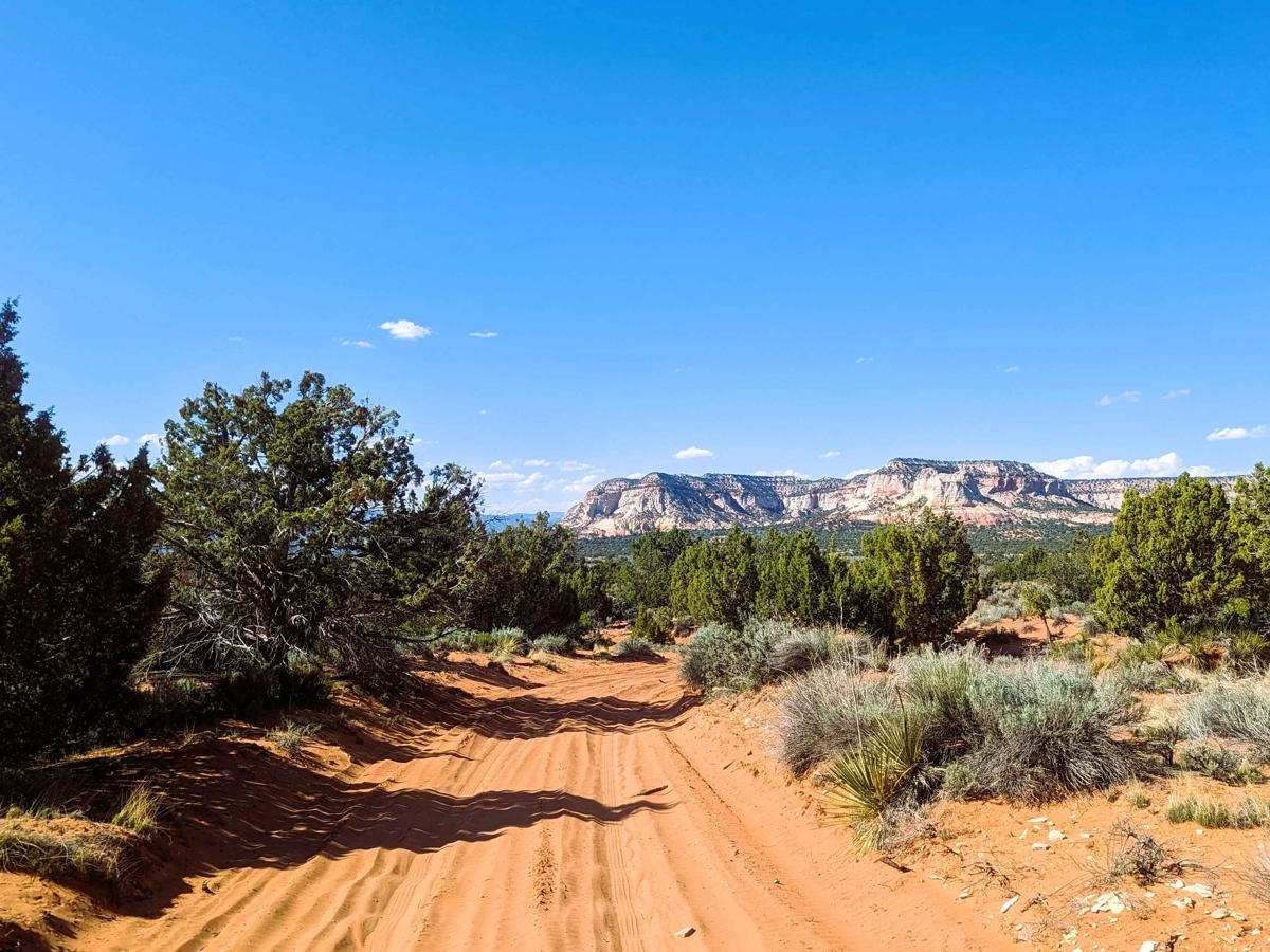 89 Parallel trail photo