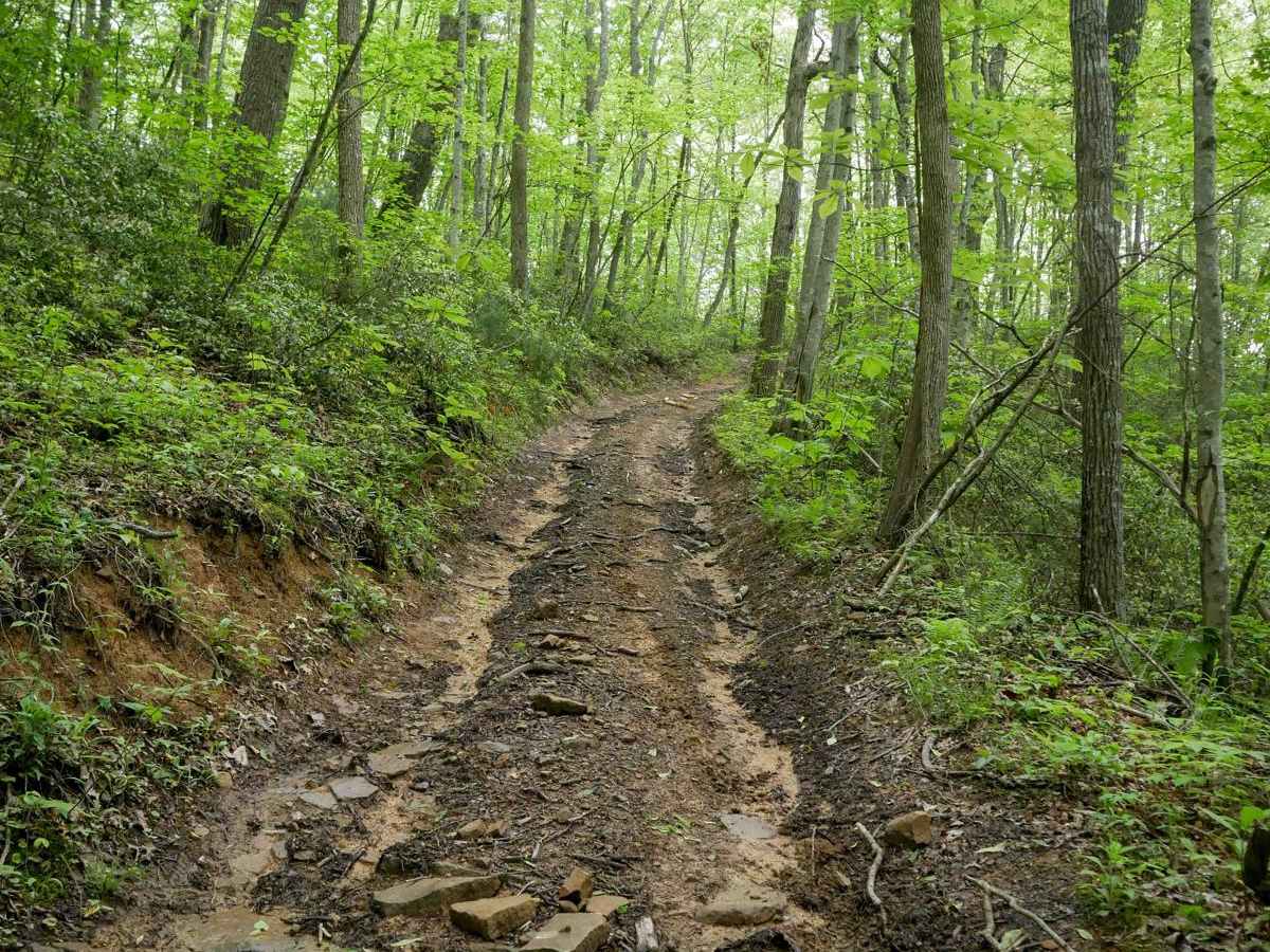 J72 trail photo