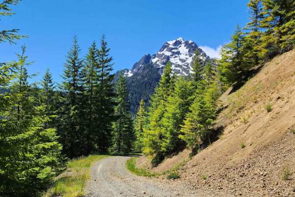 Jefferson Creek Trail