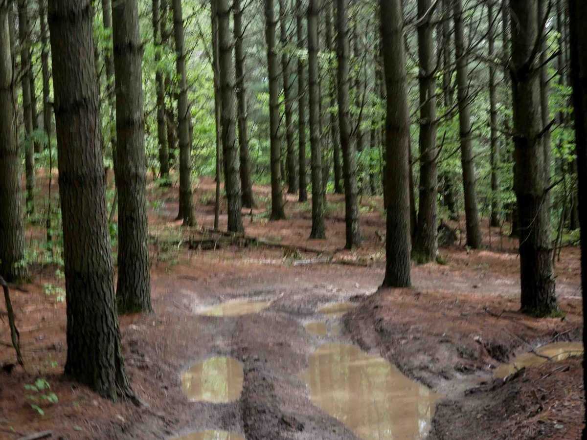 6 trail photo