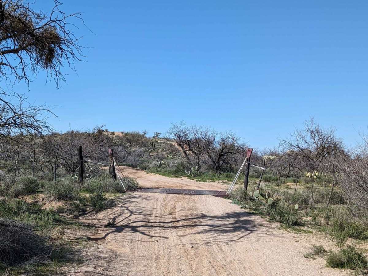 East Cochie Spring Trail photo 2
