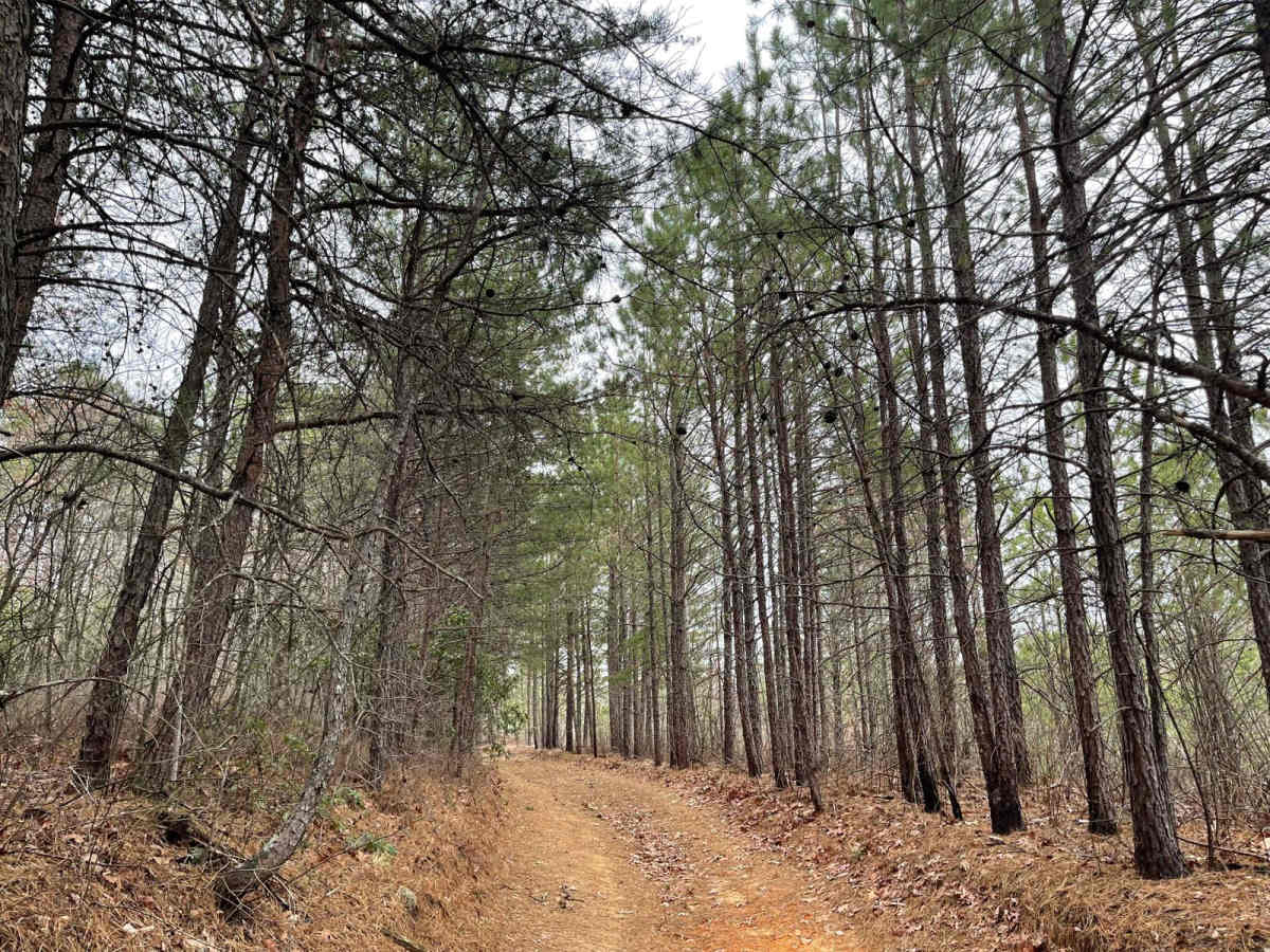 KAT Main 2 - Longbottom to River Road photo 2