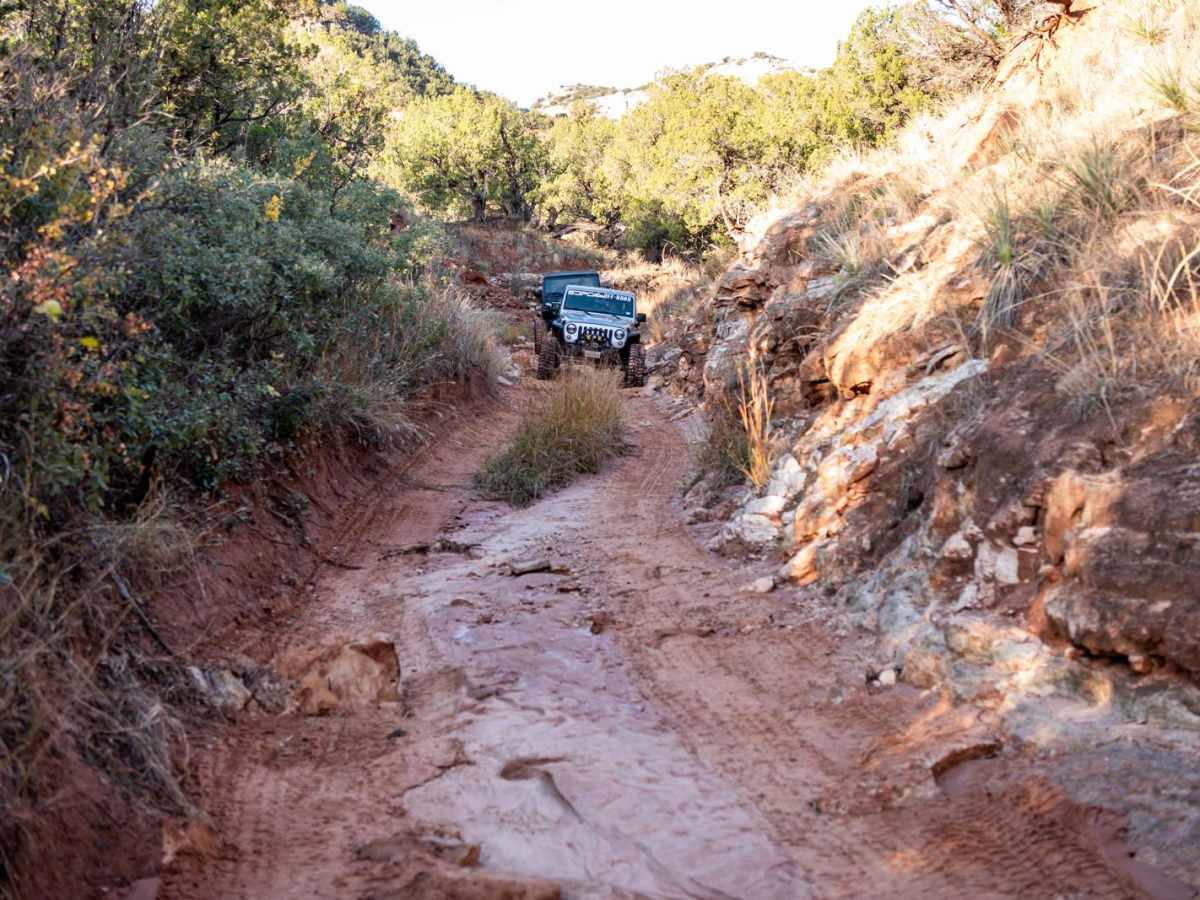 Bergflow Section 2 trail photo