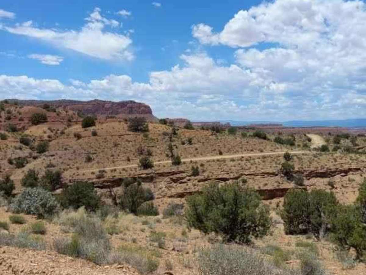 Wolverine Loop Road photo 4