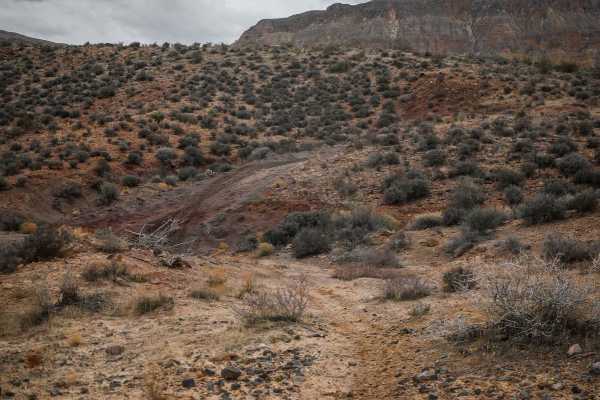 2066 Single Track