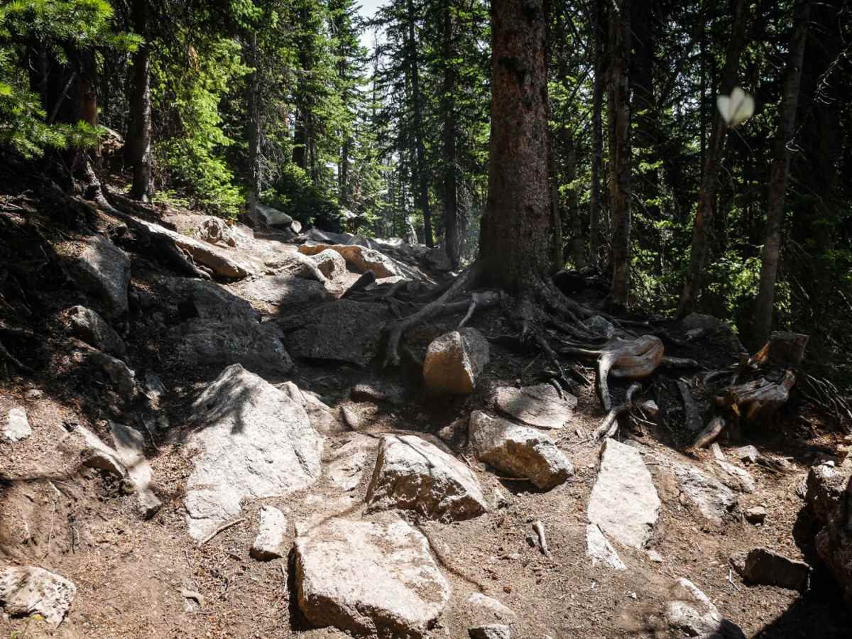 Taylor Divide photo 4