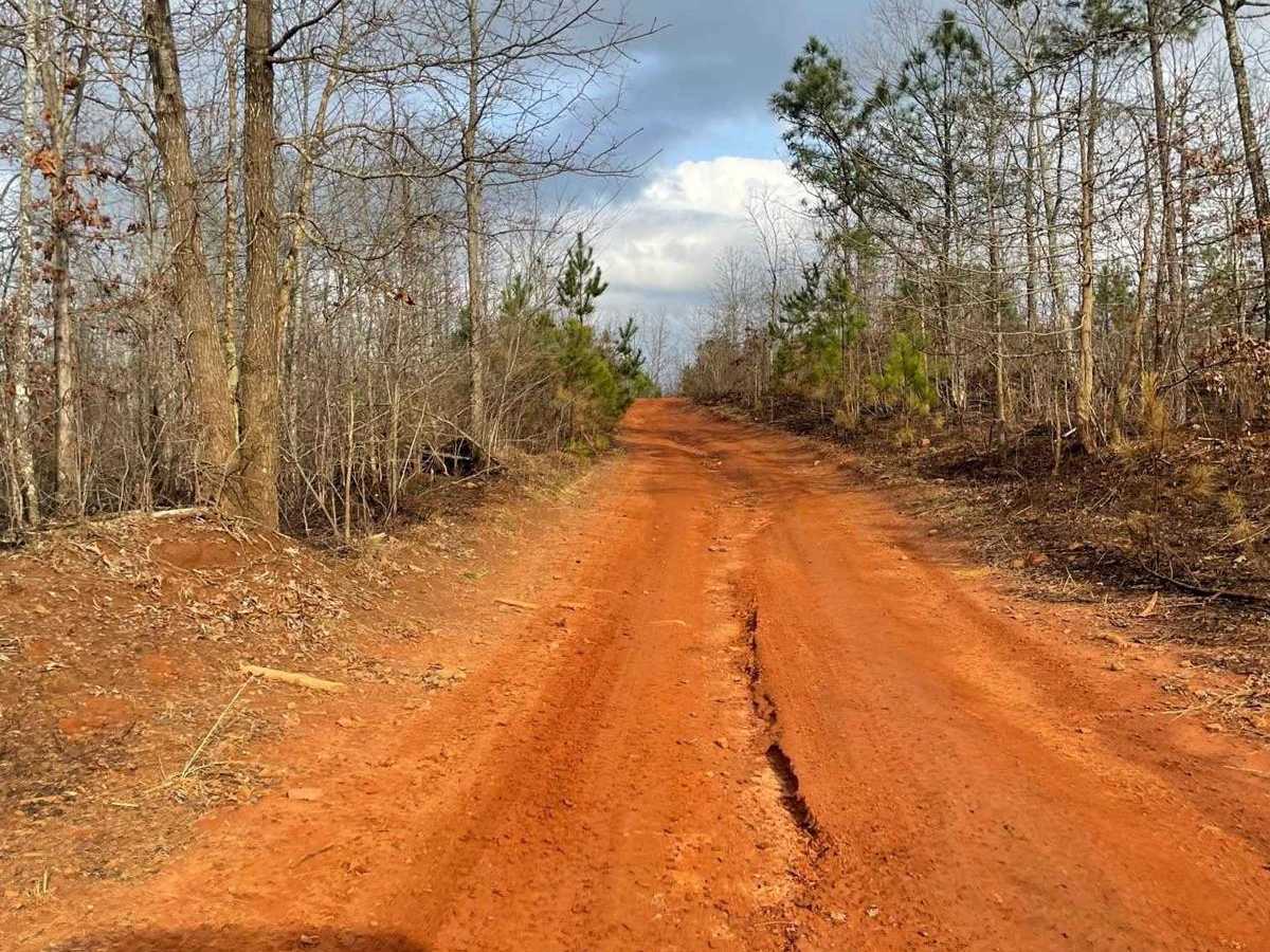 Trail 8 photo 3