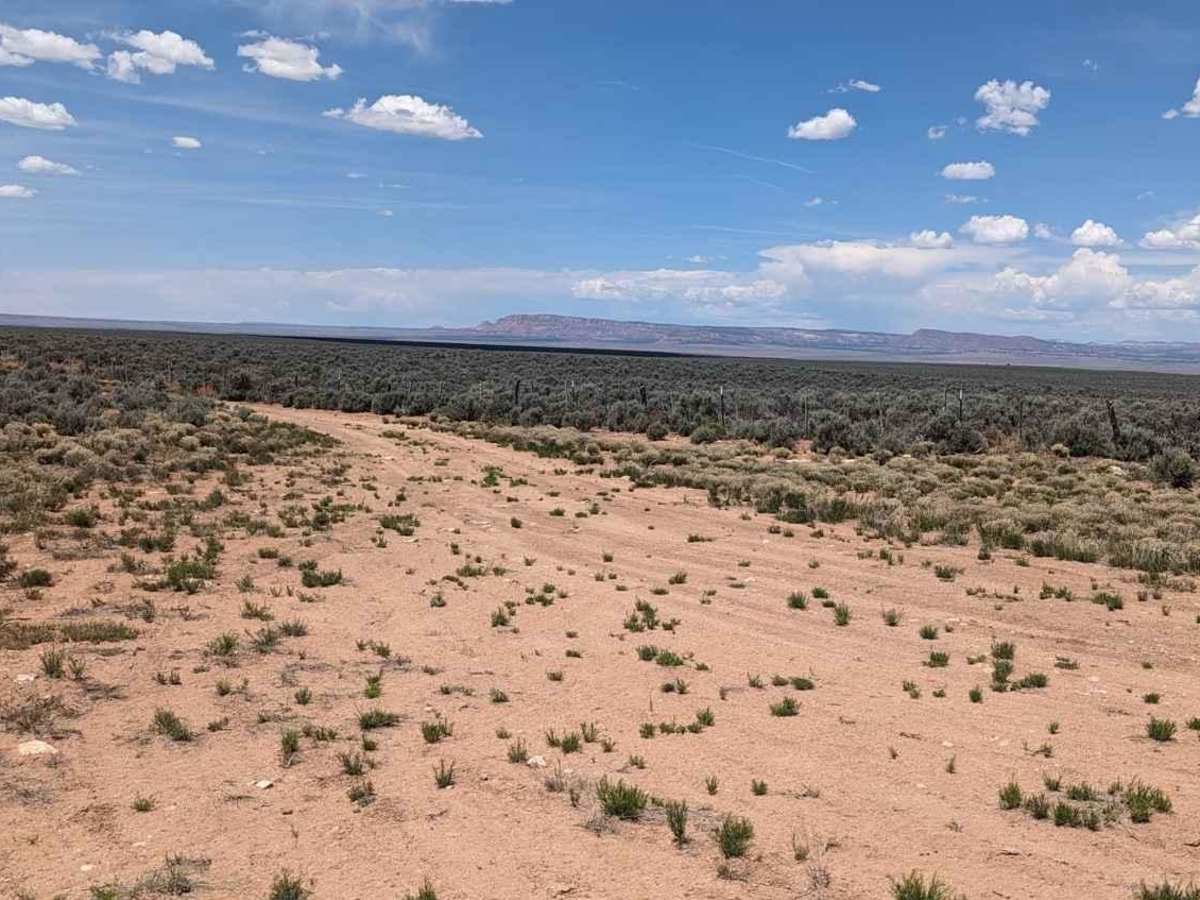 Gunsight Canyon Overlook -BLM179-180 photo 2