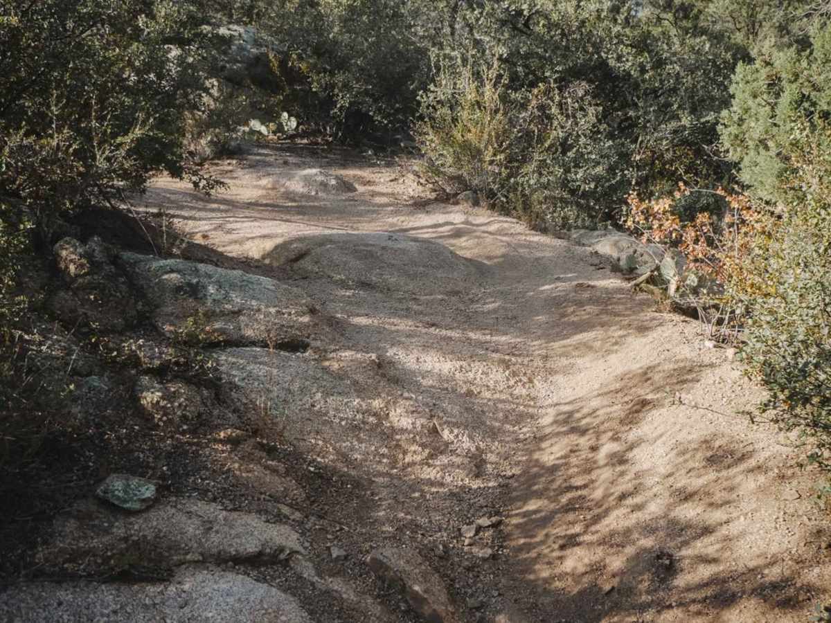 Trail 3 photo 4