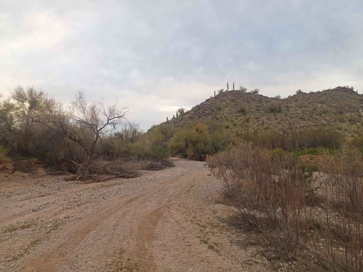 Vekol Wash Southern Leg photo 4