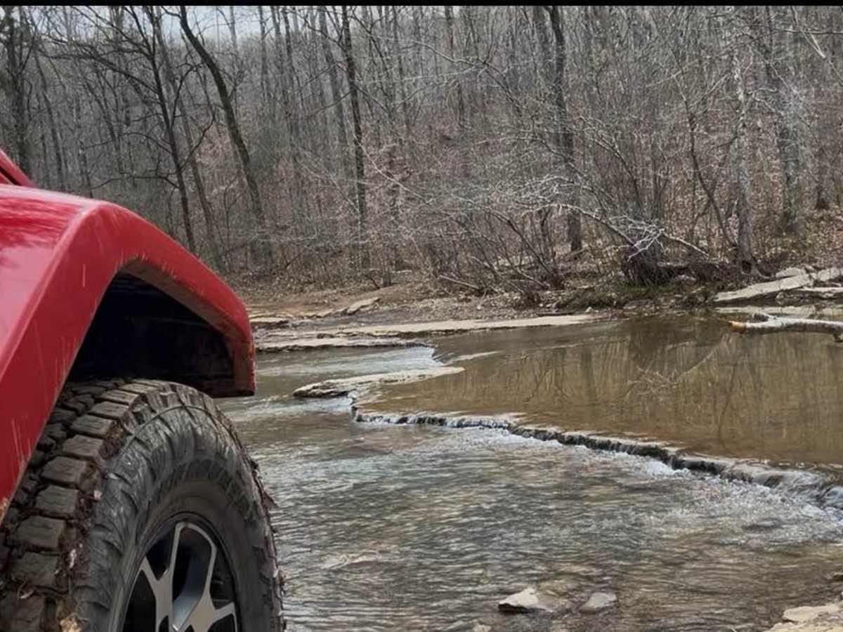 FSR 1409 trail photo