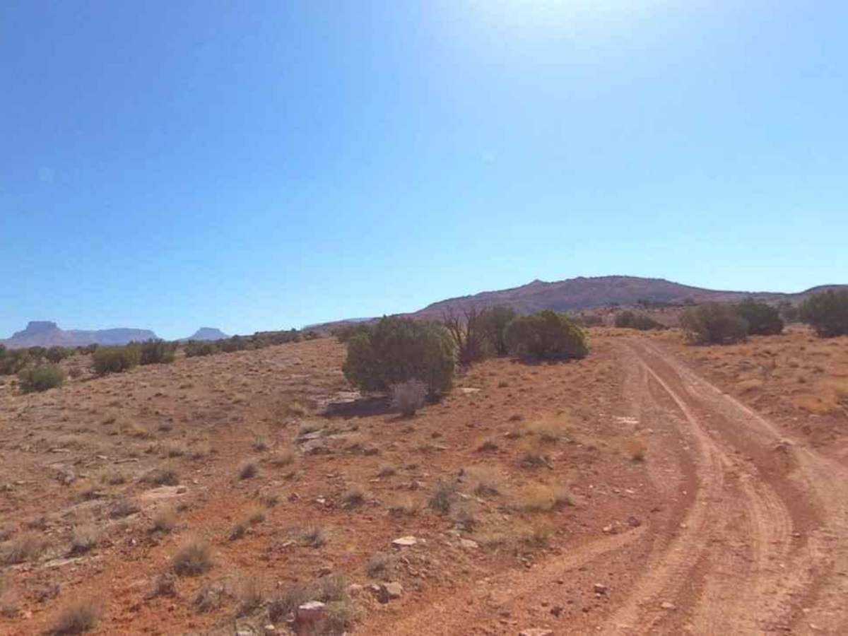 Purple Hills Road photo 2