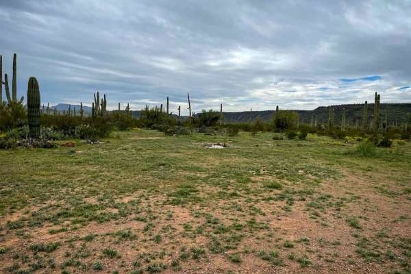 Jackrabbit Trail