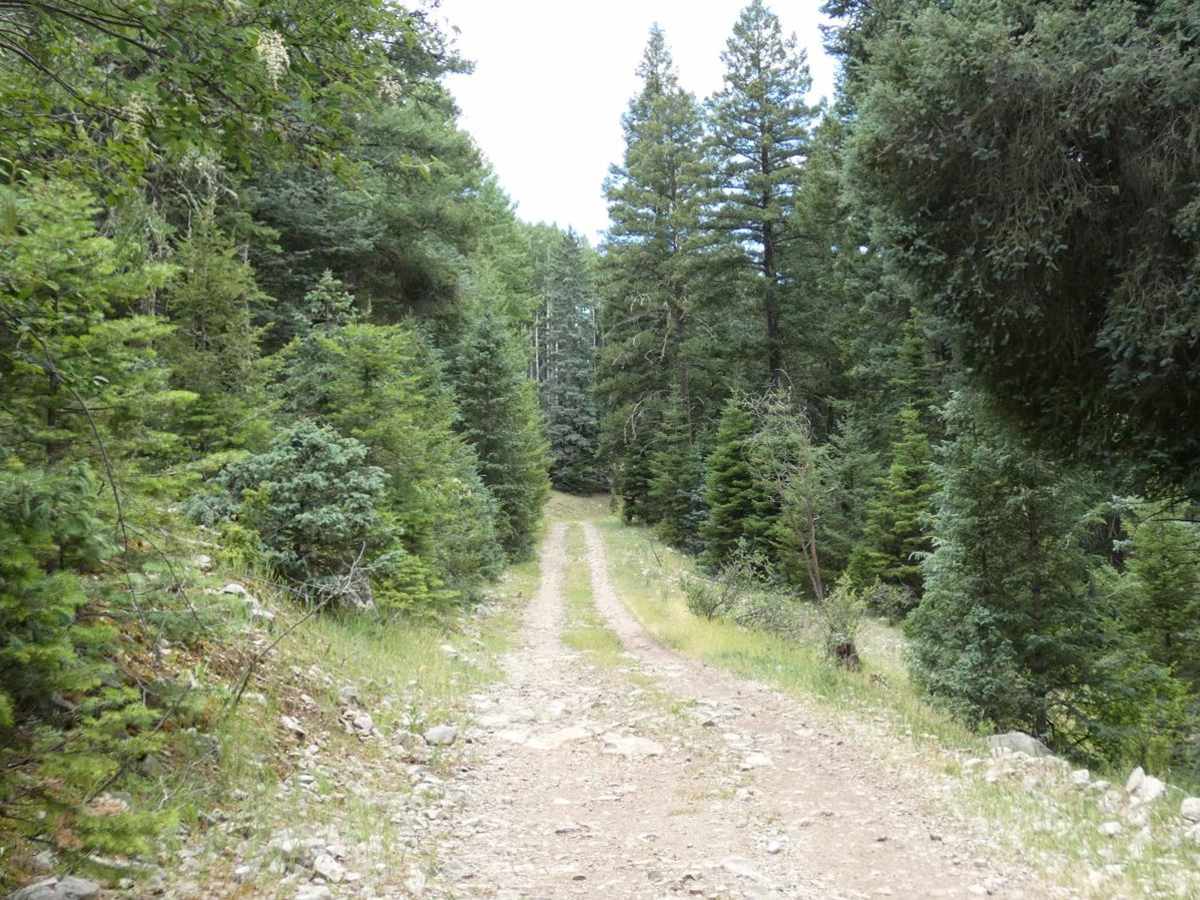 Wayne Canyon photo 4