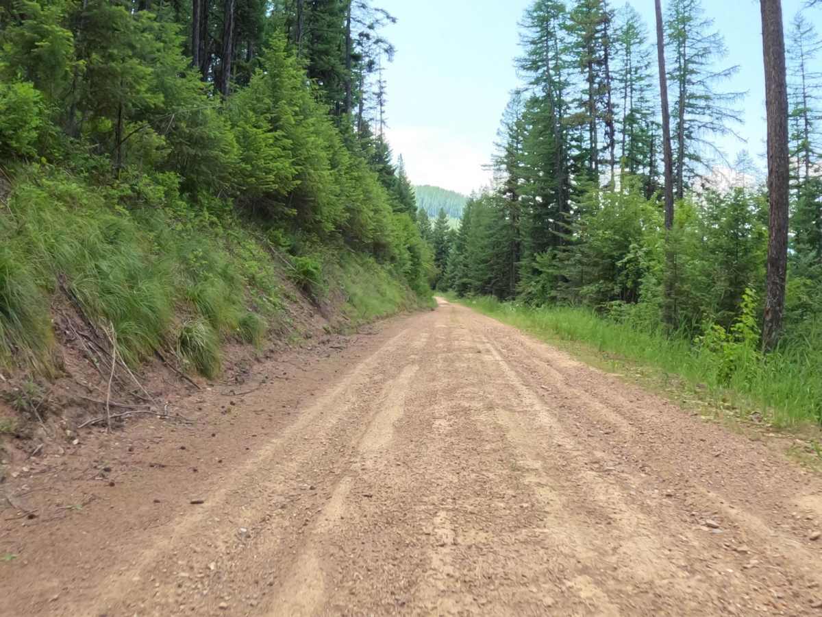 Flat Creek Road - Pardee Creek Road photo 5