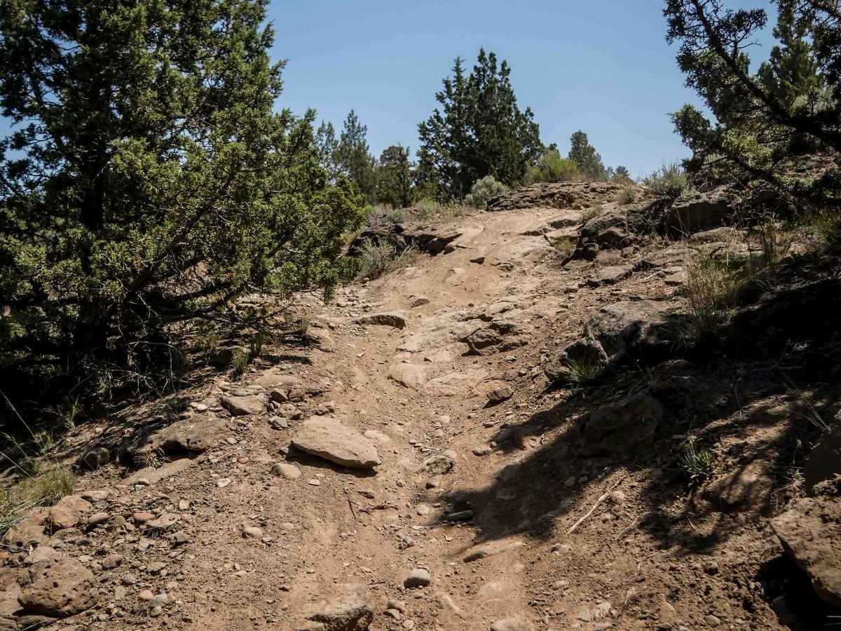 26 trail photo