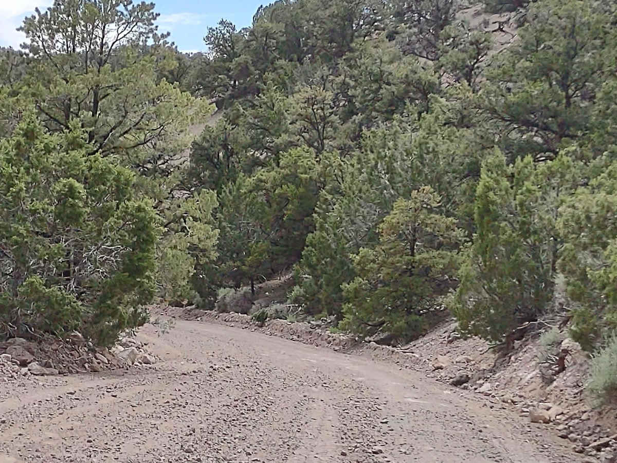 Monroe Mount Road (Kingston Cnyn to Forshea Mtn) photo 3