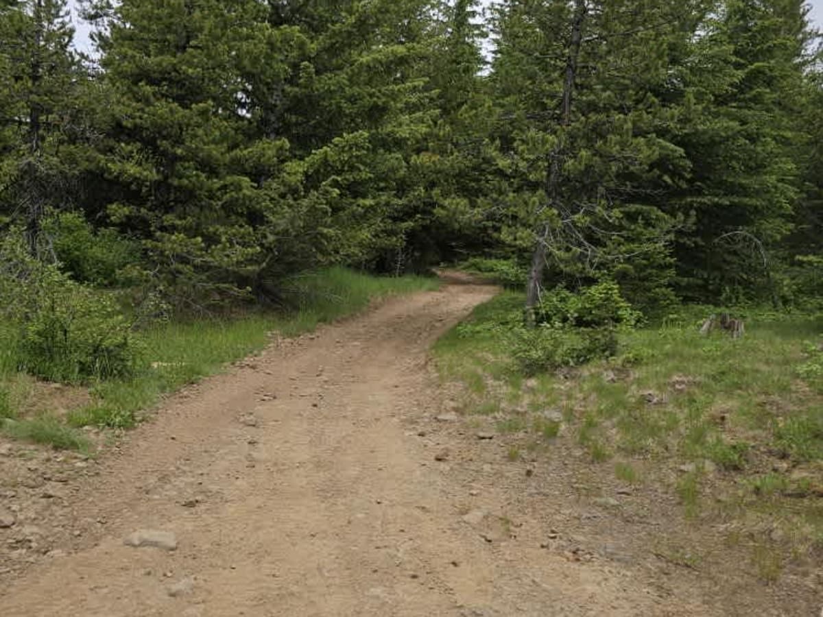 North to South Trail photo 4