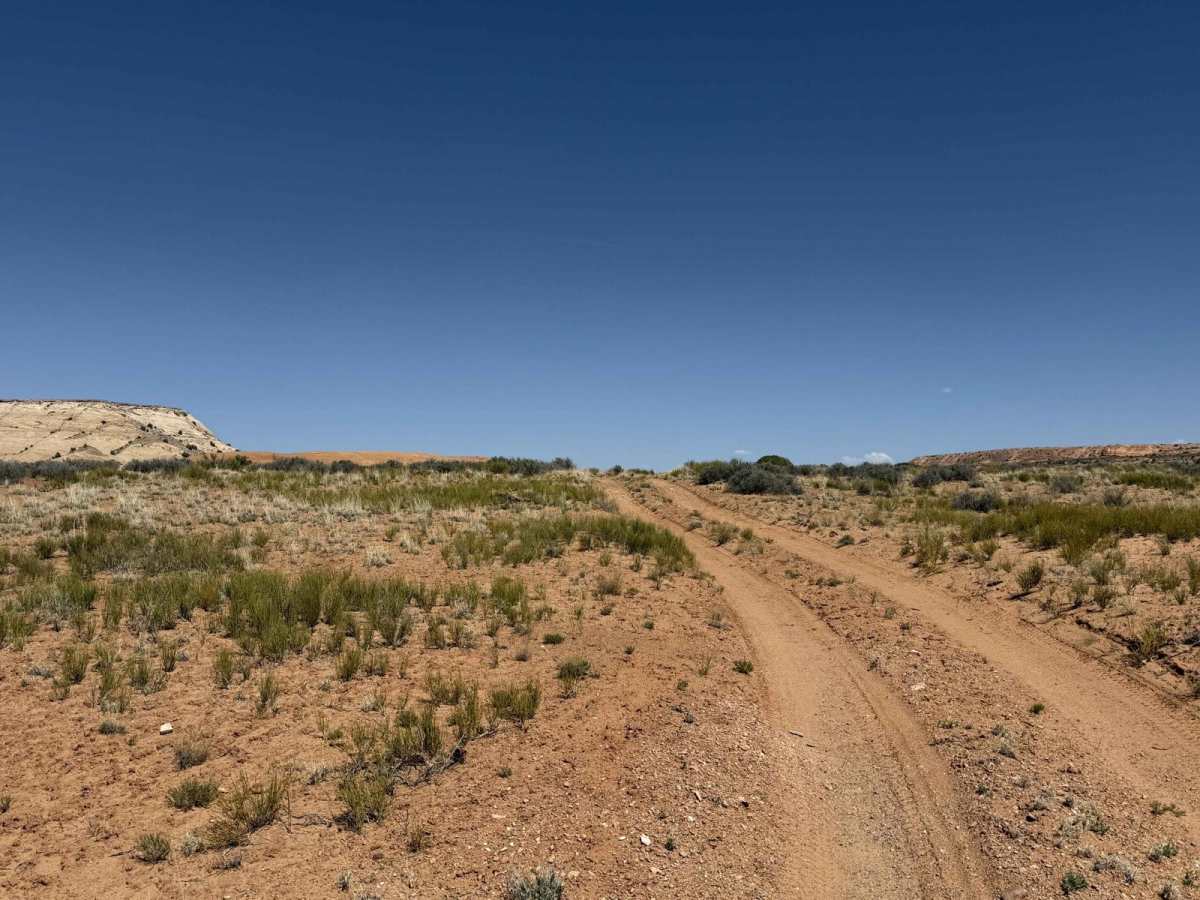 East Horseshoe Canyon photo 4