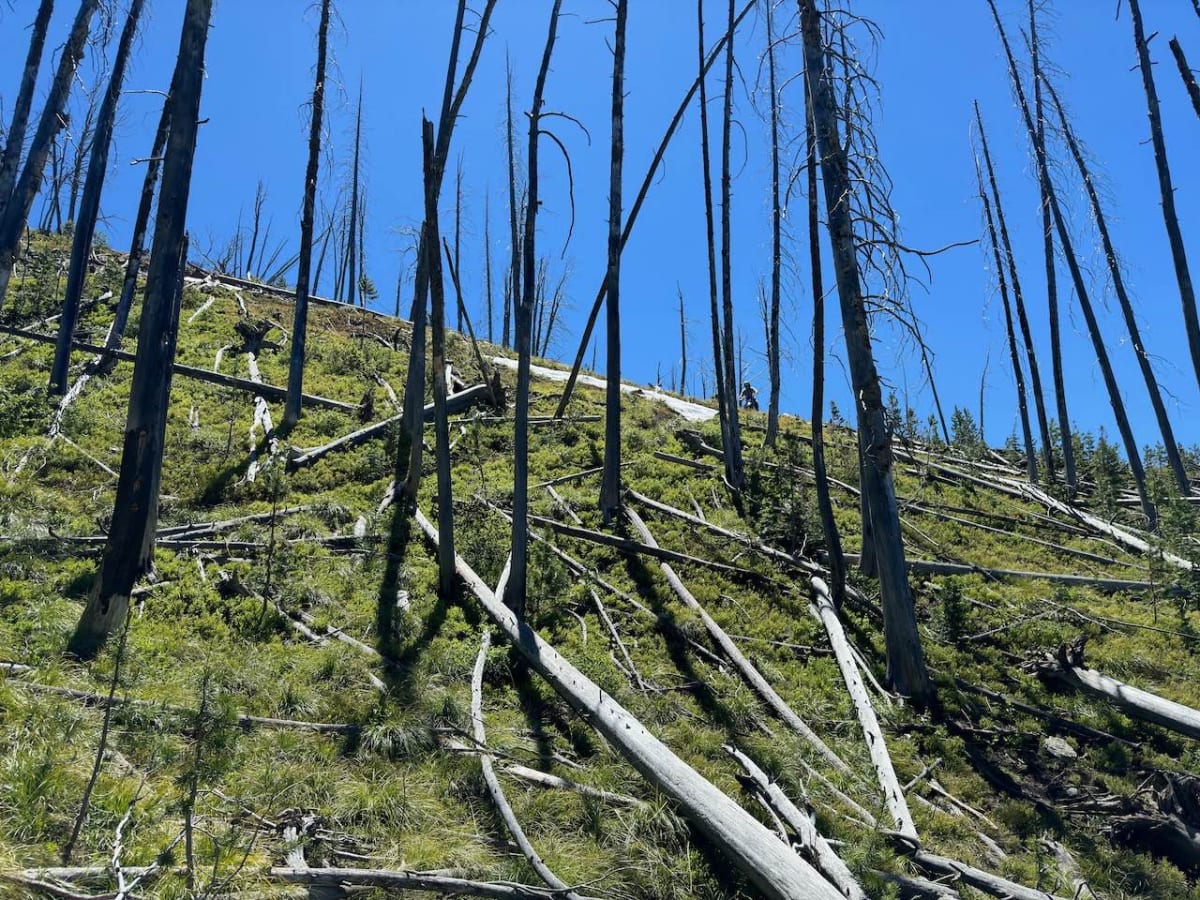 Warm Springs Ridge photo 3