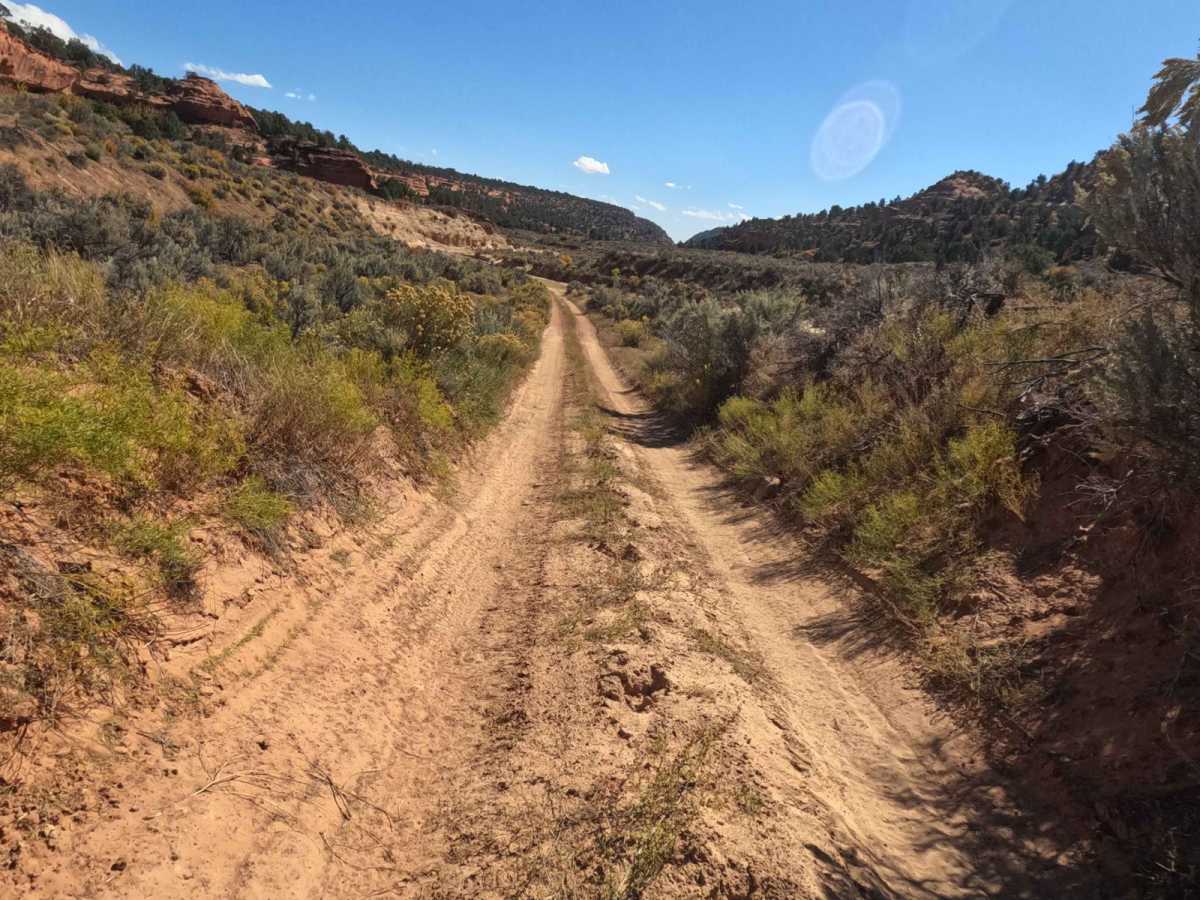 Nephi Pasture Road photo 5