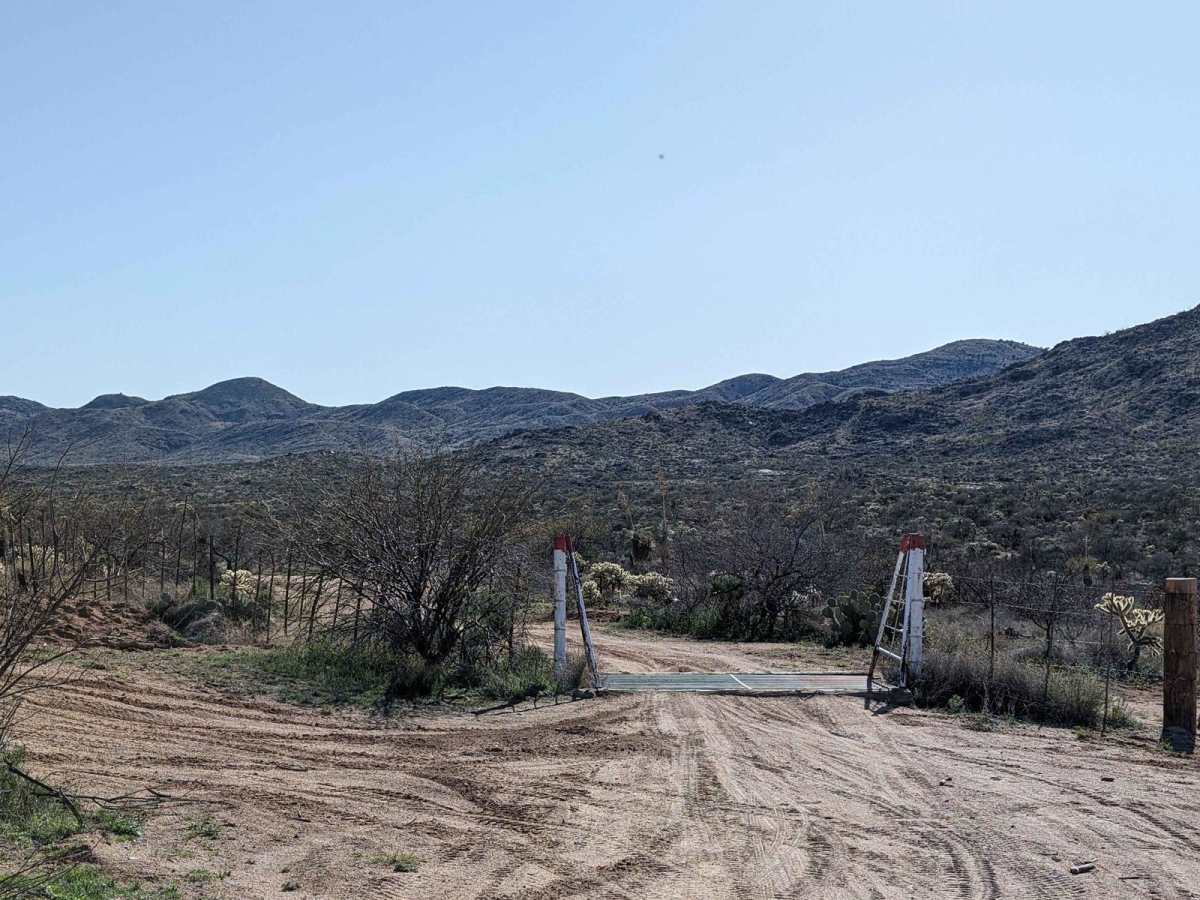 East Cochie Spring Trail photo 6