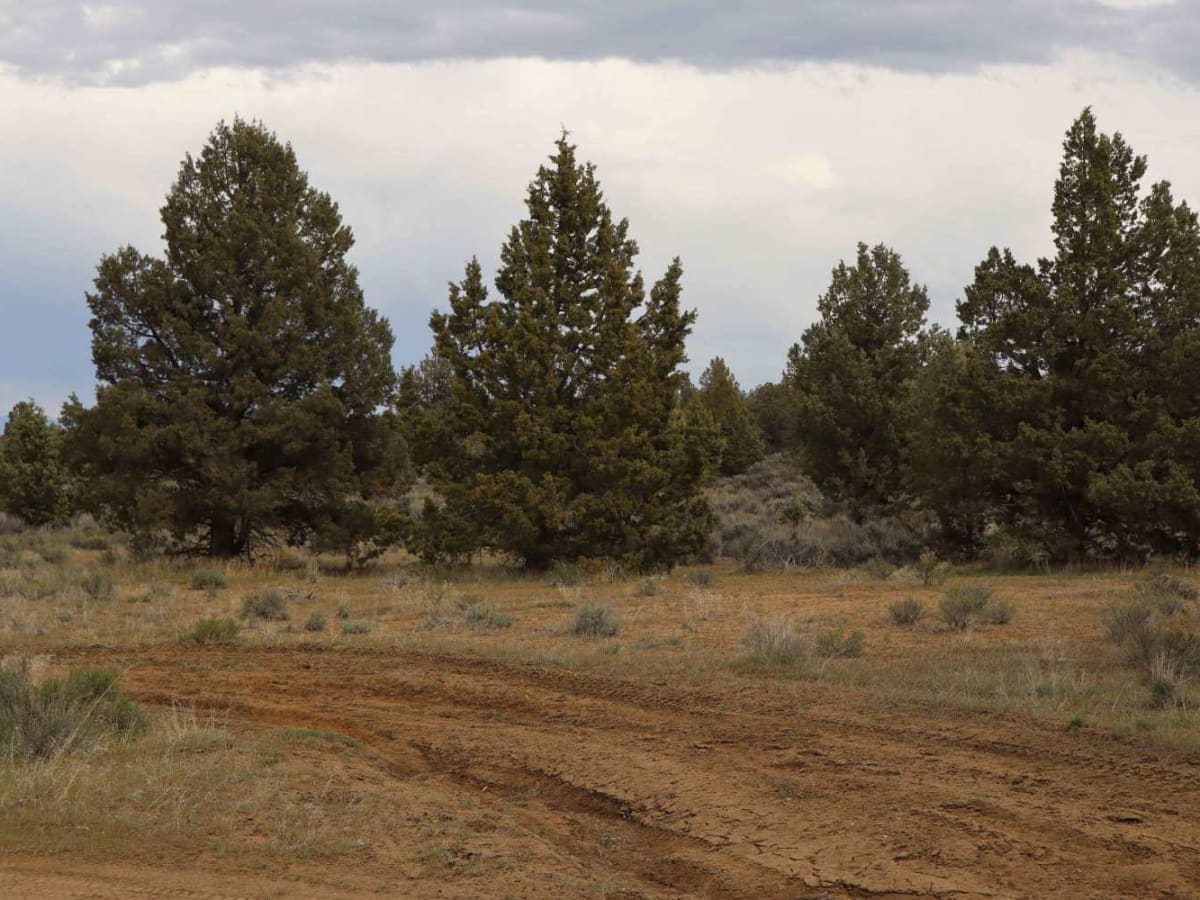 Remington Ranch Road Loop photo 4