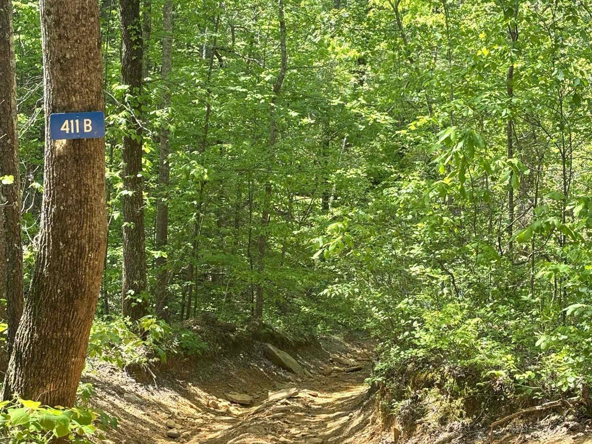 411B trail photo