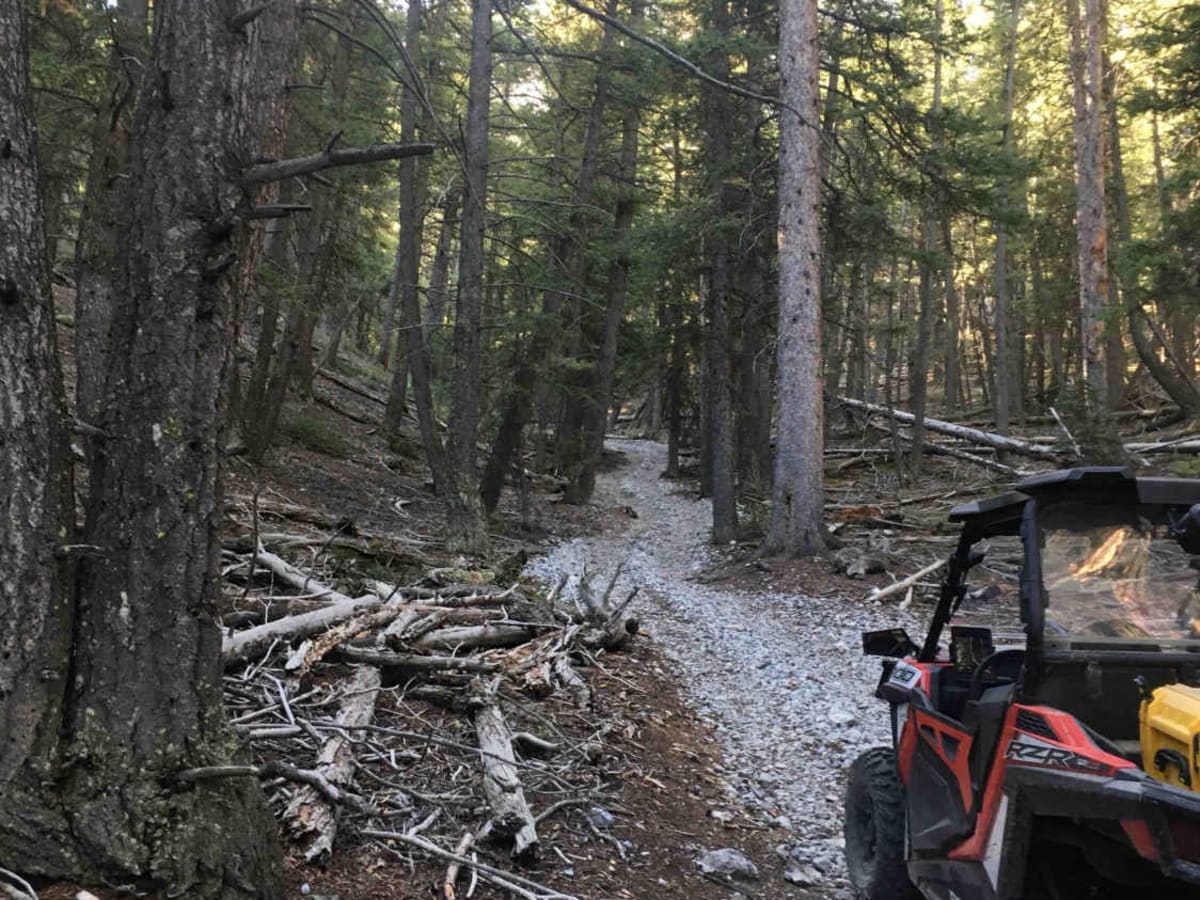 Southfork Eightmile Trail trail photo