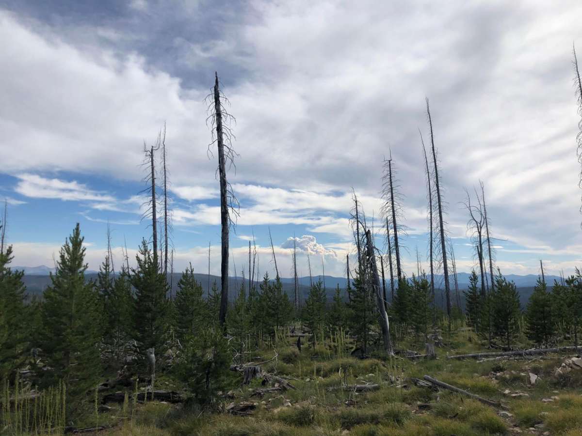 Mink Creek to Highway 43 trail photo
