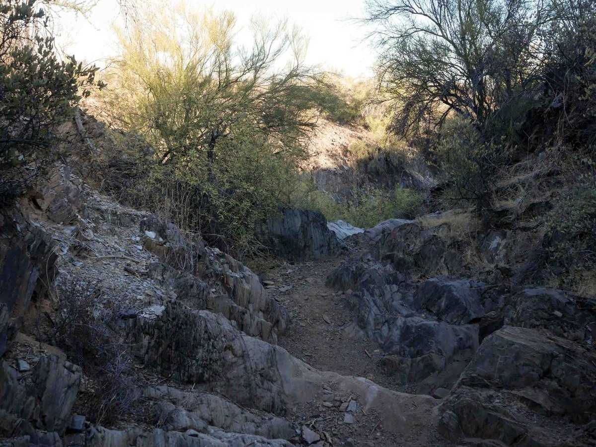 31001 trail photo
