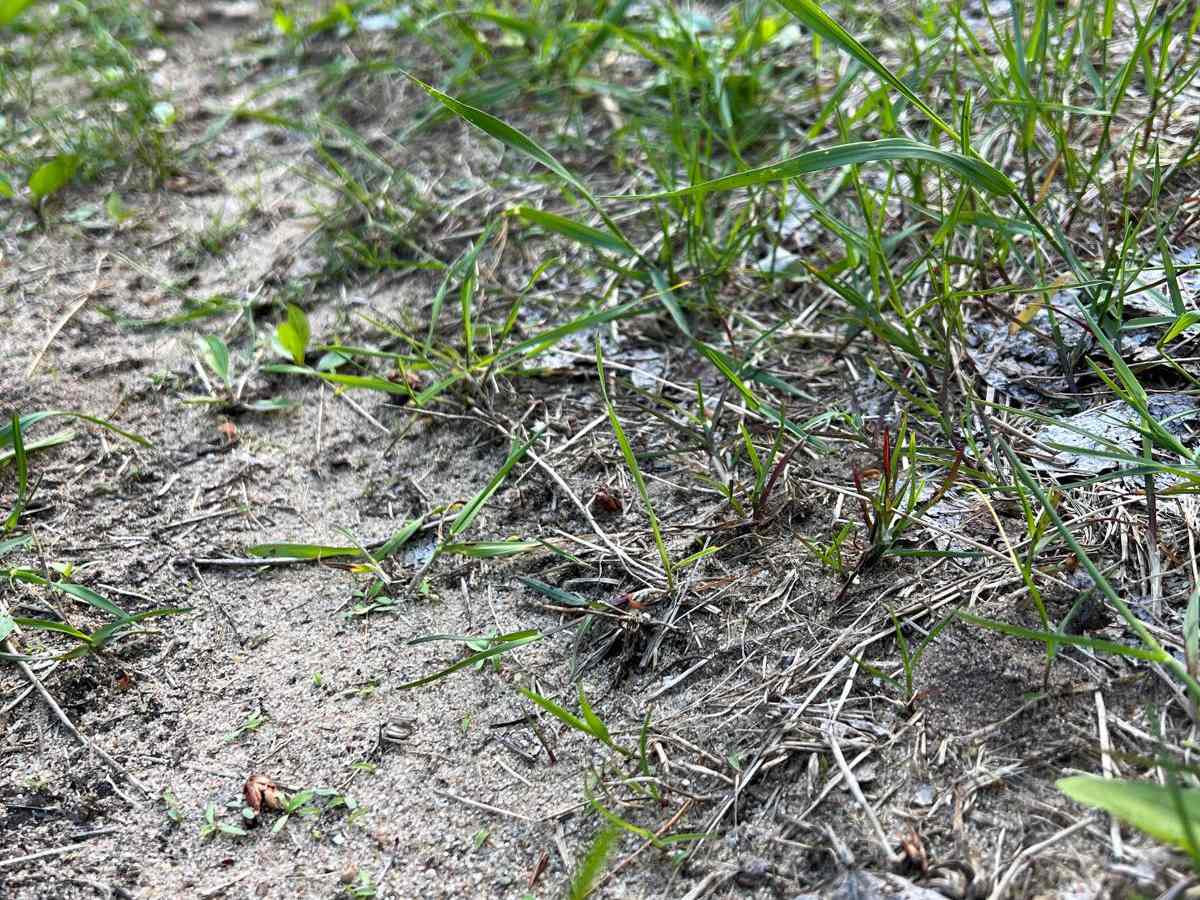 Bewilder Trail photo 4