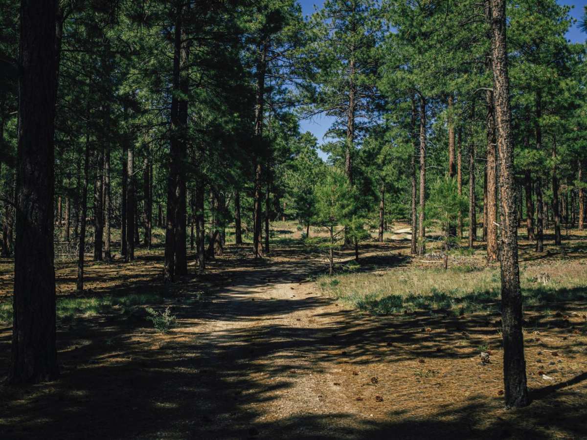 Hunter Hill Camp photo 6