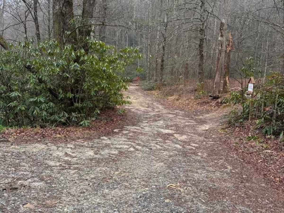 Roseboro Road - FS 981 photo 4