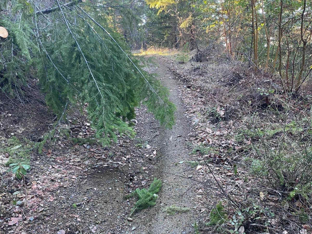 Fugawe Loop photo 2