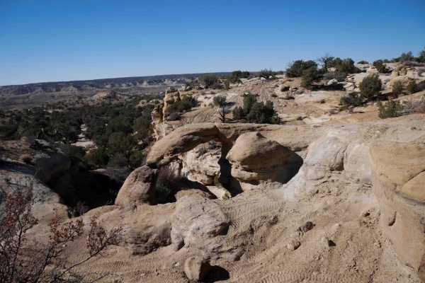 Arch Trail