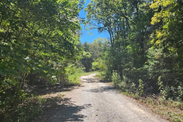 Cedar Forest Road
