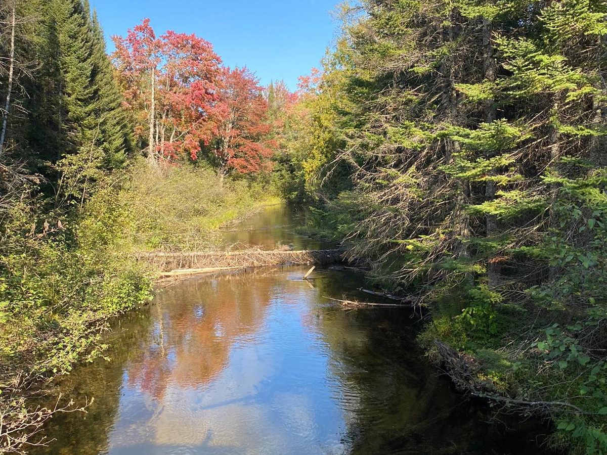Trail 413 Fletcher - Part 6 photo 4