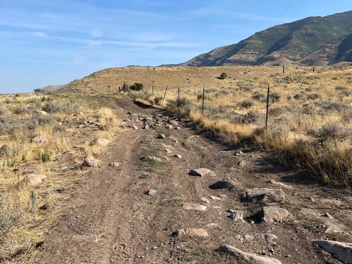 Springs Road Fence Line Trail photo 3