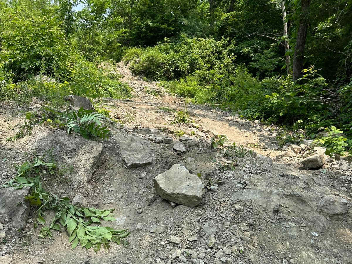 Skid Plate 116 photo 4