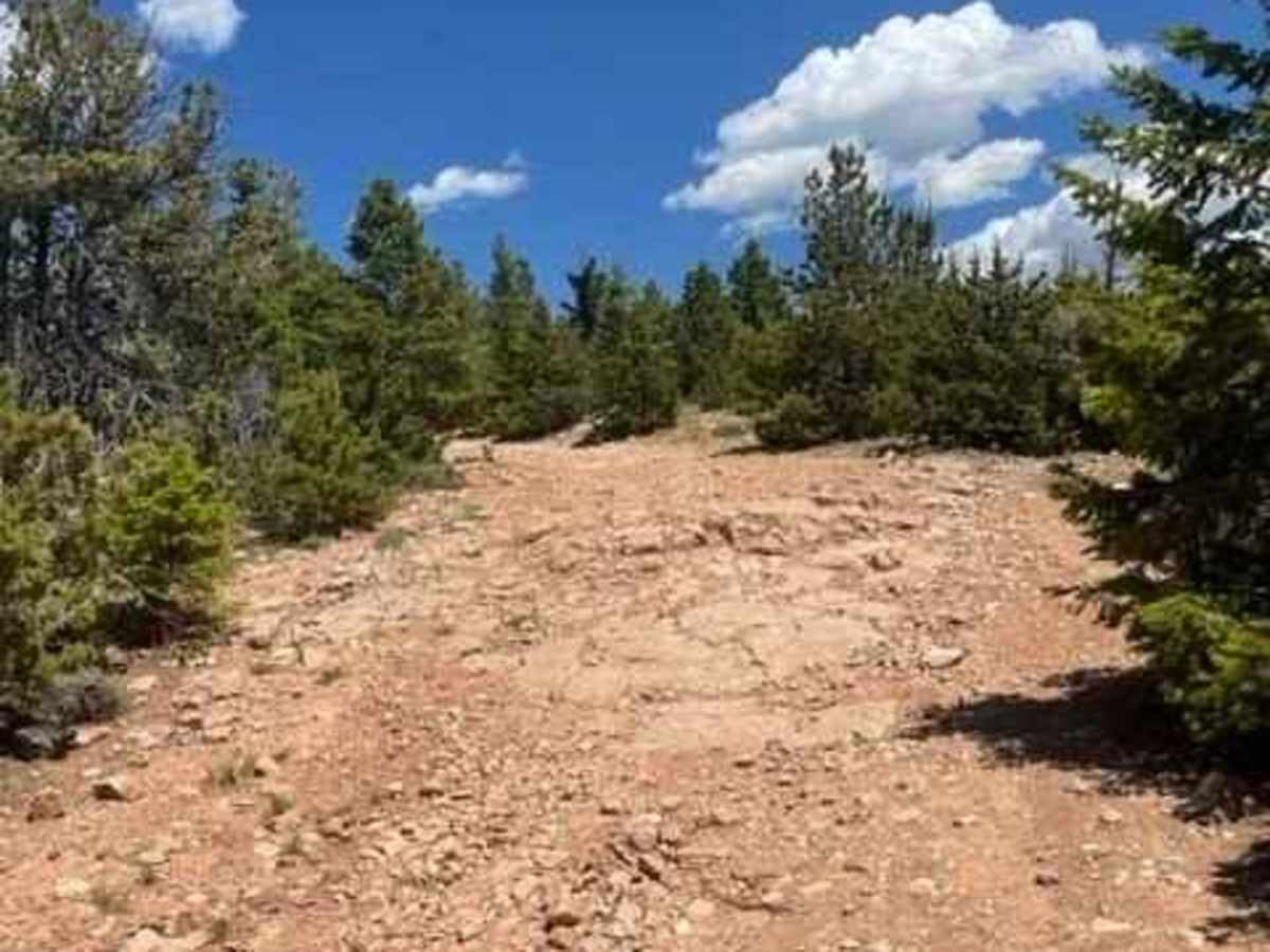 King Trail #2011 photo 2