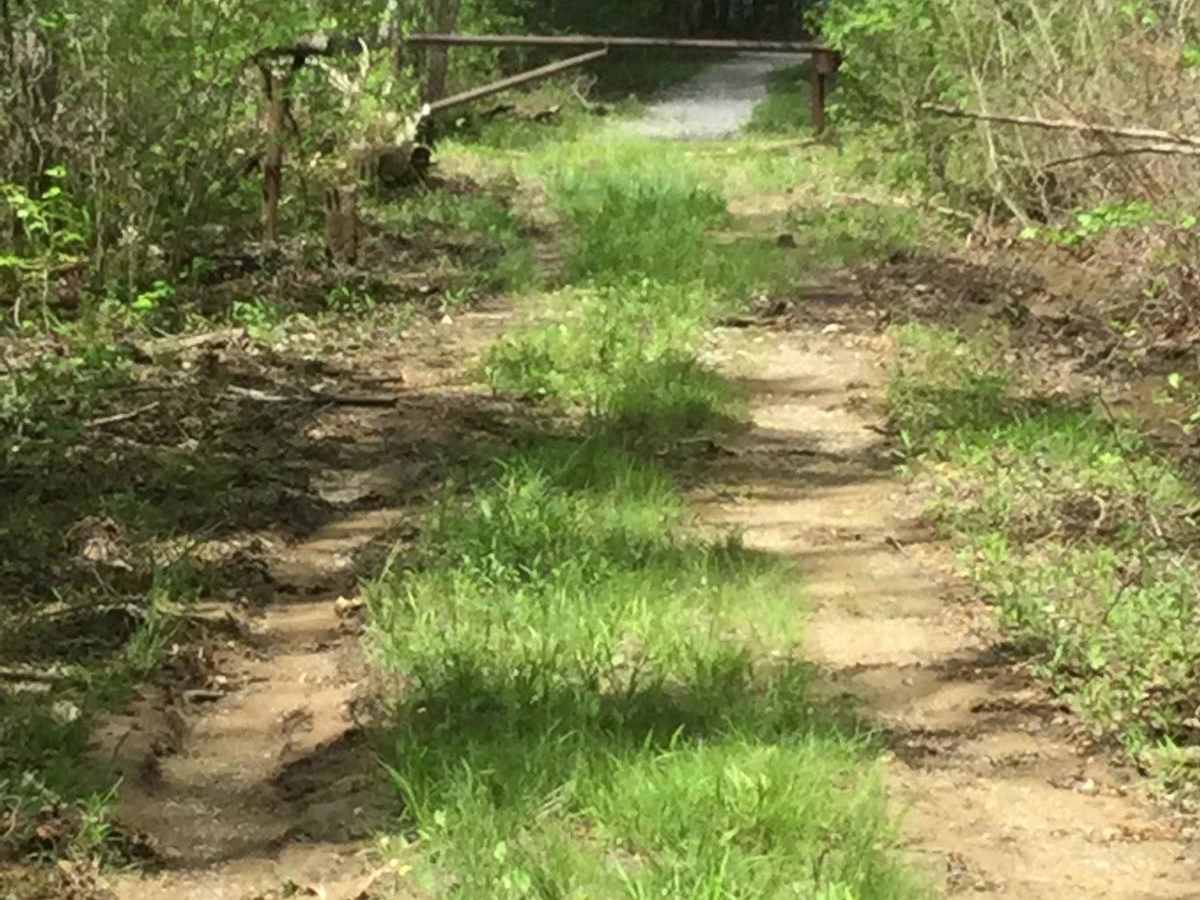 Citico Creek South photo 3