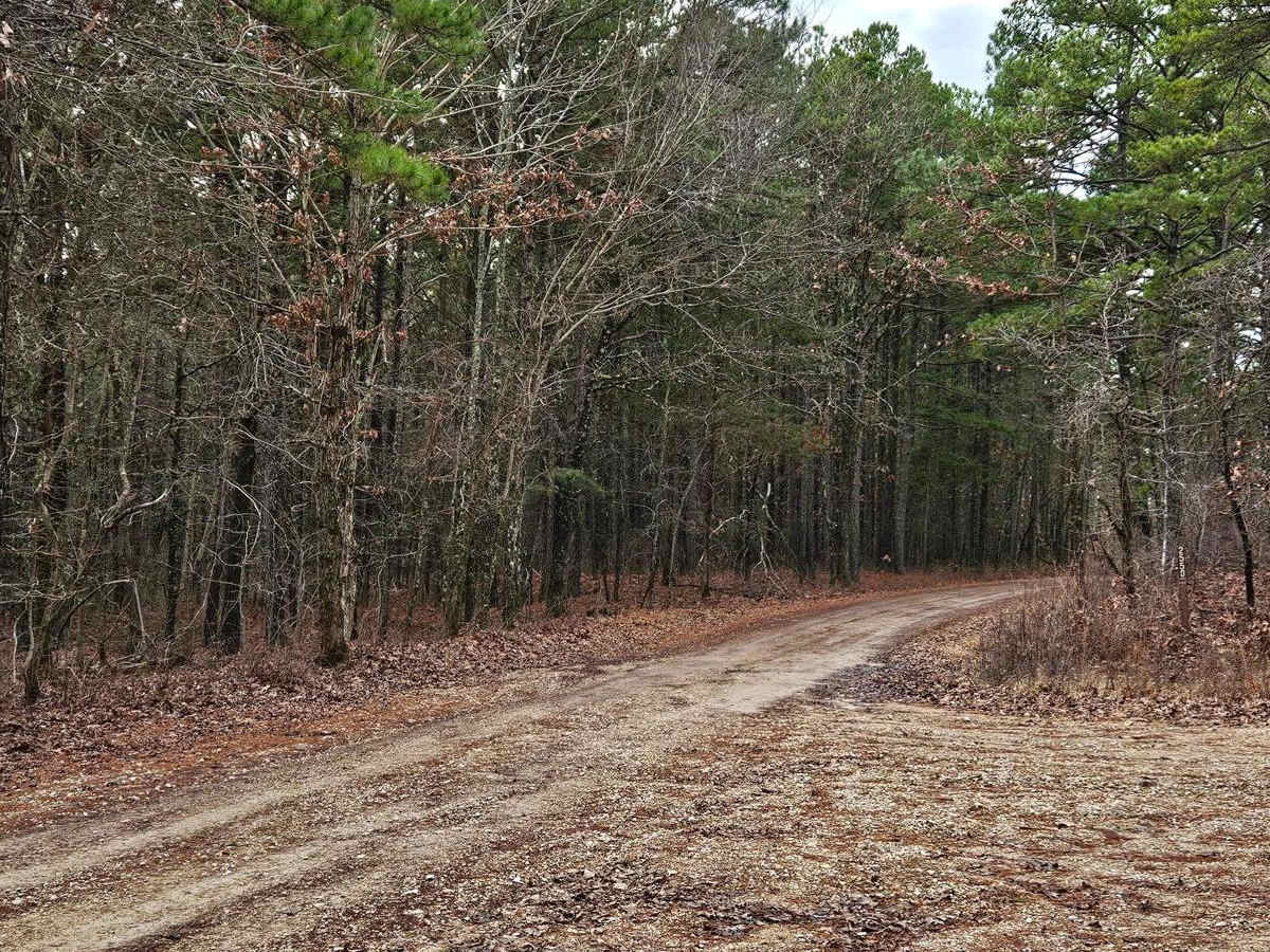 Stringtown Branch - FSR 2550 photo 2